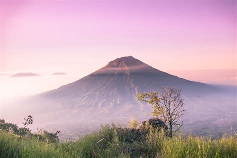 game diamond ff pilihan resmi terpercaya yang cocok untuk pemula Cocok untuk event image 1